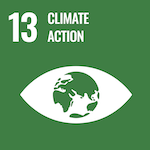 icon for sustainable development goal number 13 climate action