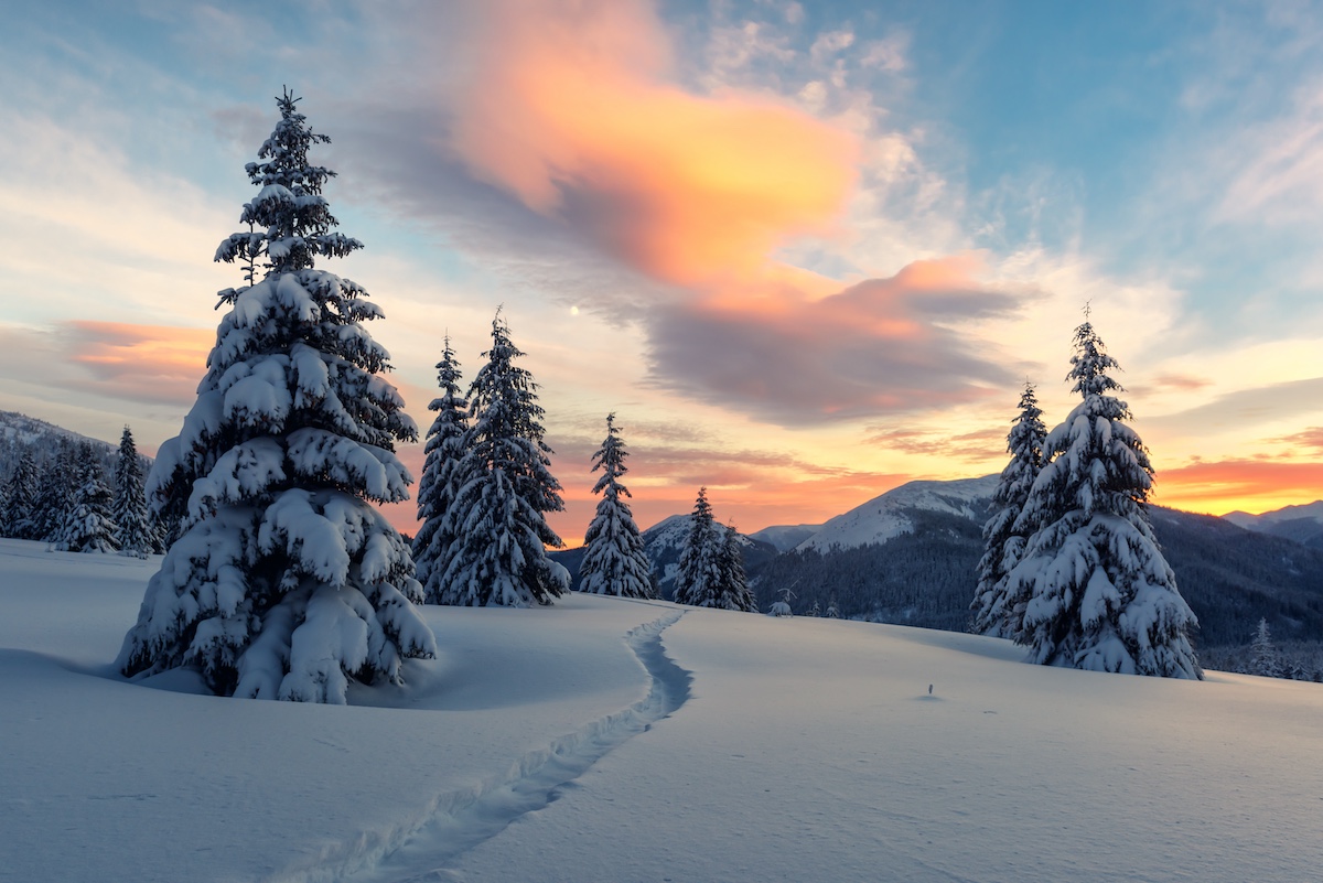 snow covered landscape