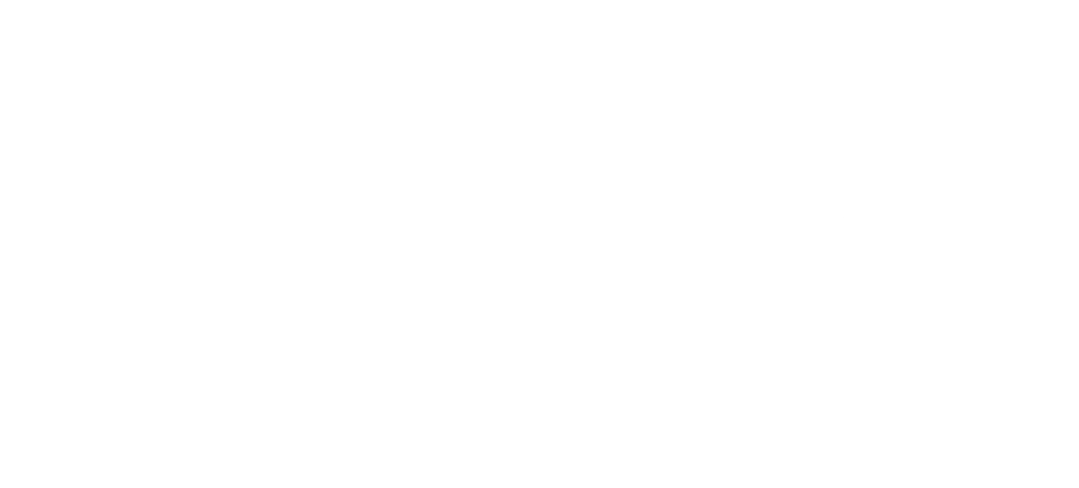 Belco logo